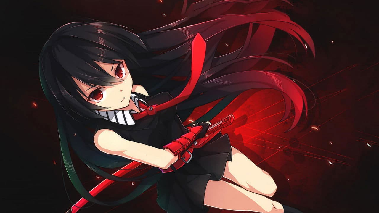 Banner de Akame ga Kill!