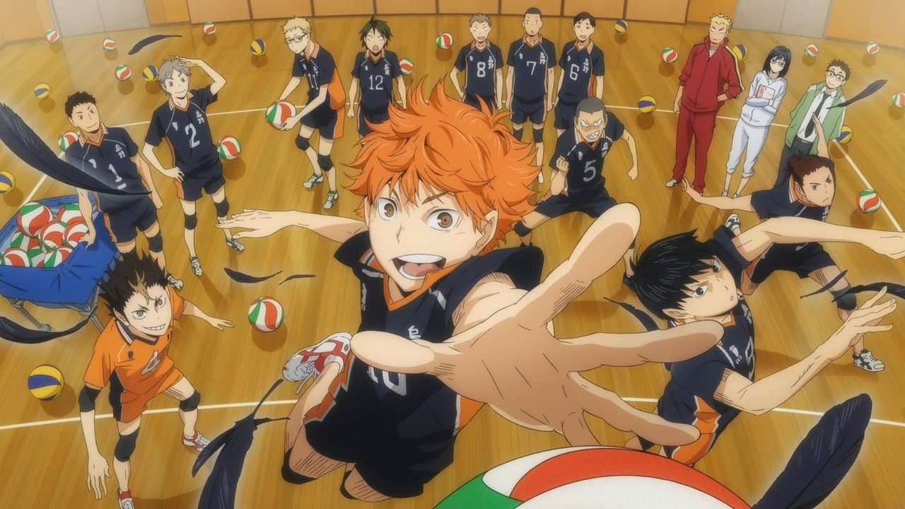 Banner de HAIKYU!!