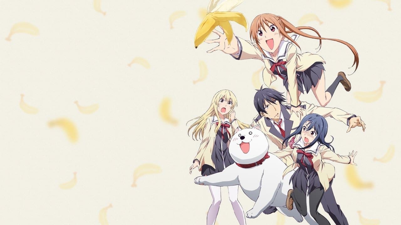 Banner de AHO-GIRL