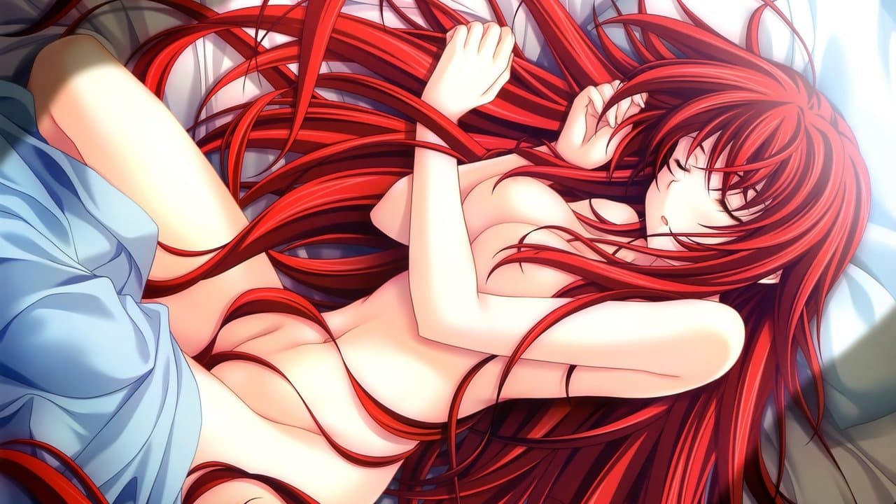 Banner de High School DxD
