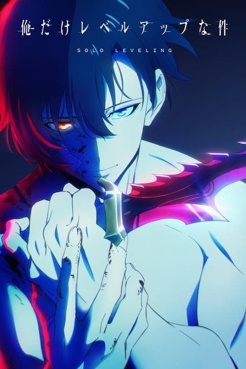Capa de Solo Leveling